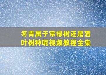 冬青属于常绿树还是落叶树种呢视频教程全集