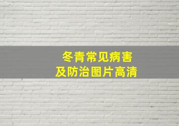 冬青常见病害及防治图片高清