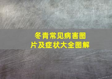 冬青常见病害图片及症状大全图解