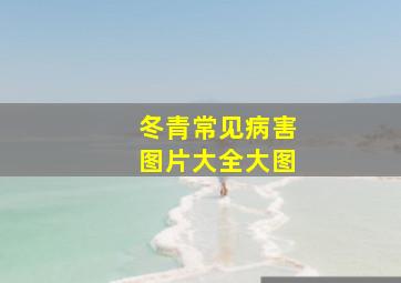 冬青常见病害图片大全大图