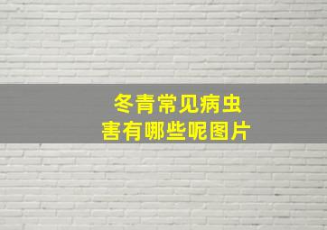 冬青常见病虫害有哪些呢图片