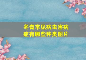 冬青常见病虫害病症有哪些种类图片