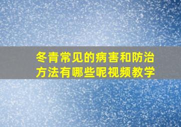 冬青常见的病害和防治方法有哪些呢视频教学