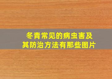 冬青常见的病虫害及其防治方法有那些图片