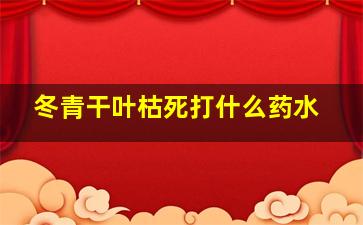 冬青干叶枯死打什么药水