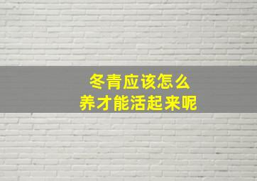 冬青应该怎么养才能活起来呢