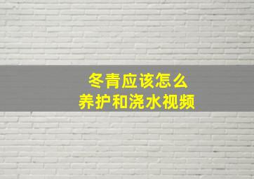 冬青应该怎么养护和浇水视频