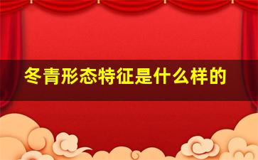 冬青形态特征是什么样的