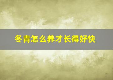 冬青怎么养才长得好快