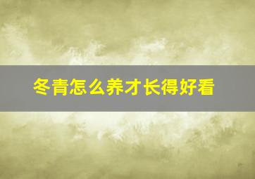 冬青怎么养才长得好看