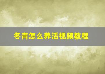 冬青怎么养活视频教程