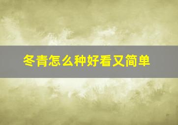 冬青怎么种好看又简单