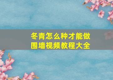 冬青怎么种才能做围墙视频教程大全