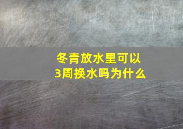 冬青放水里可以3周换水吗为什么