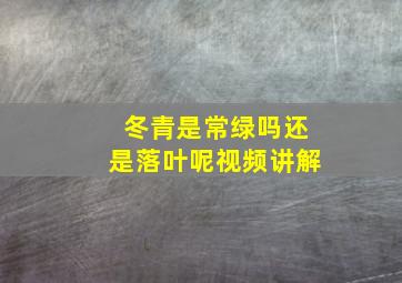 冬青是常绿吗还是落叶呢视频讲解