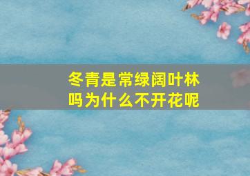 冬青是常绿阔叶林吗为什么不开花呢