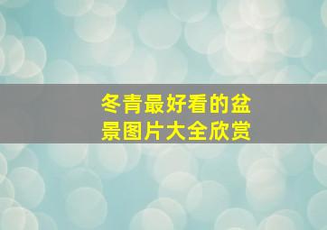 冬青最好看的盆景图片大全欣赏