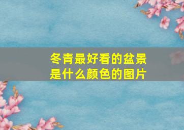 冬青最好看的盆景是什么颜色的图片