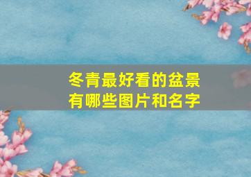 冬青最好看的盆景有哪些图片和名字