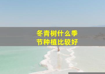 冬青树什么季节种植比较好