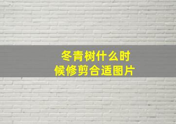 冬青树什么时候修剪合适图片