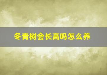 冬青树会长高吗怎么养