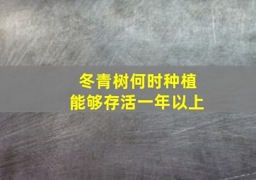 冬青树何时种植能够存活一年以上