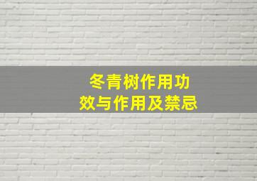 冬青树作用功效与作用及禁忌