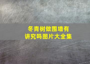 冬青树做围墙有讲究吗图片大全集