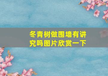 冬青树做围墙有讲究吗图片欣赏一下