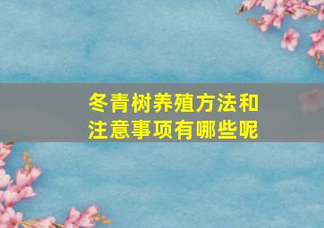 冬青树养殖方法和注意事项有哪些呢