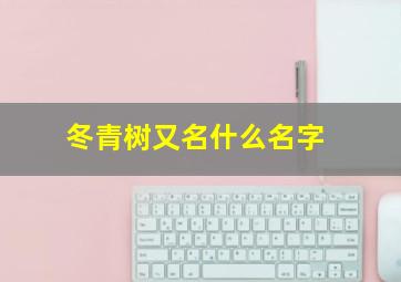 冬青树又名什么名字