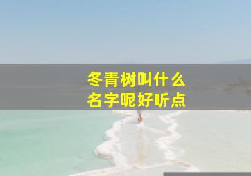 冬青树叫什么名字呢好听点