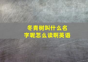 冬青树叫什么名字呢怎么读啊英语