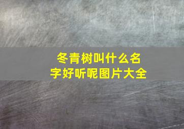 冬青树叫什么名字好听呢图片大全