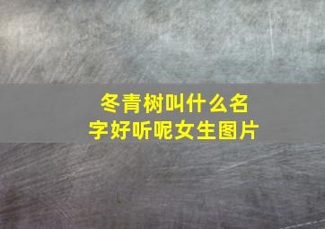 冬青树叫什么名字好听呢女生图片