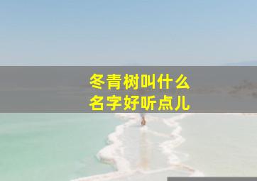 冬青树叫什么名字好听点儿