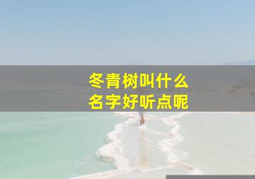 冬青树叫什么名字好听点呢