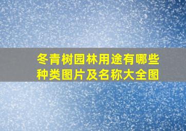 冬青树园林用途有哪些种类图片及名称大全图