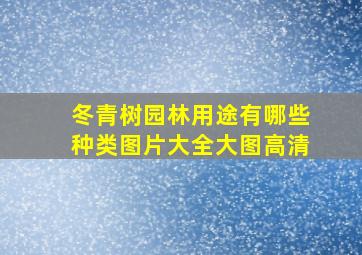 冬青树园林用途有哪些种类图片大全大图高清