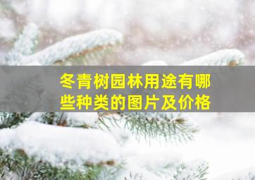 冬青树园林用途有哪些种类的图片及价格