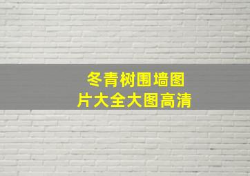 冬青树围墙图片大全大图高清