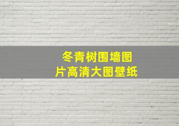 冬青树围墙图片高清大图壁纸