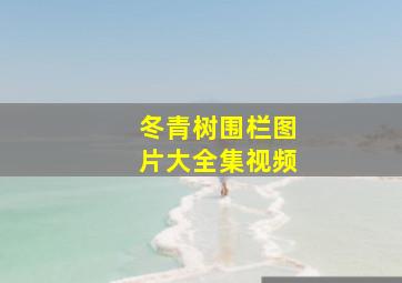 冬青树围栏图片大全集视频