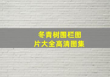 冬青树围栏图片大全高清图集