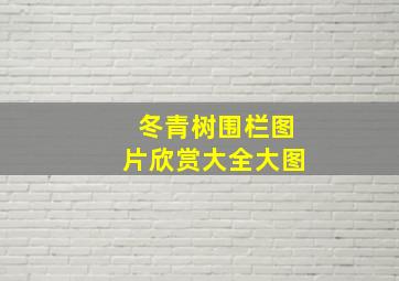 冬青树围栏图片欣赏大全大图