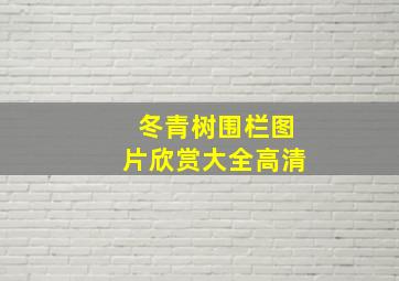 冬青树围栏图片欣赏大全高清