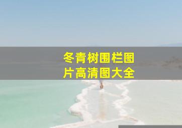 冬青树围栏图片高清图大全