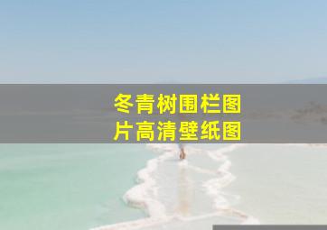 冬青树围栏图片高清壁纸图