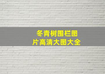 冬青树围栏图片高清大图大全